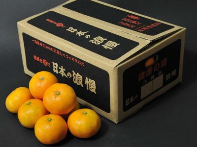 八幡浜みかん・日本の浪漫(3kg)M・約30玉