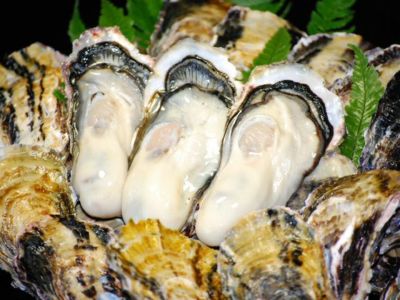 矢竹水産・坂越かき（殻付）約10kg（90～160個） | 安心堂 食のSELECT