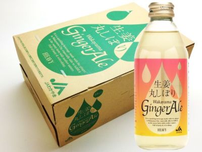 生姜丸しぼり わかやまジンジャーエール(250ml)×12本ギフト箱入り