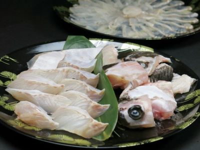 養殖クエ鍋 500g 刺身 130g セット 安心堂 食のselectネットショップ