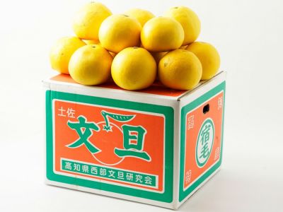 松岡農園・宿毛の土佐文旦【家庭用】10kg/2L（21玉前後） | 安心堂 食