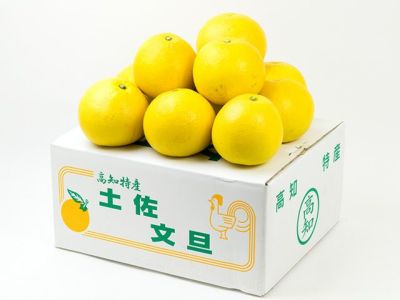 久保農園・土佐小夏【家庭用】5kg | 安心堂 食のSELECTネットショップ
