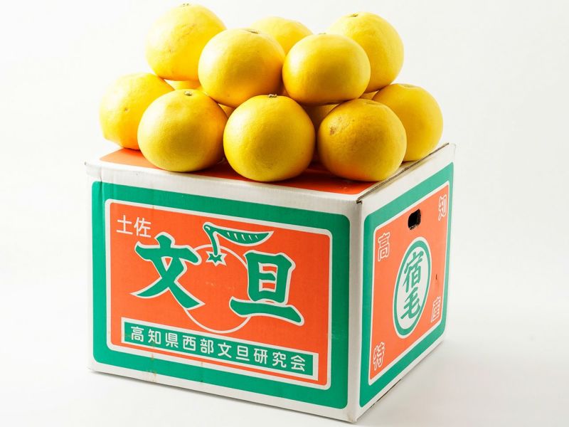 松岡農園・宿毛の土佐文旦【家庭用】10kg/M（30玉前後） | 安心堂 食のSELECTネットショップ