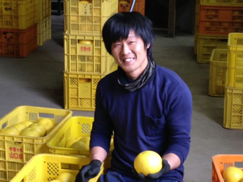 松岡農園・宿毛の土佐文旦【家庭用】10kg/2L（21玉前後） | 安心堂 食