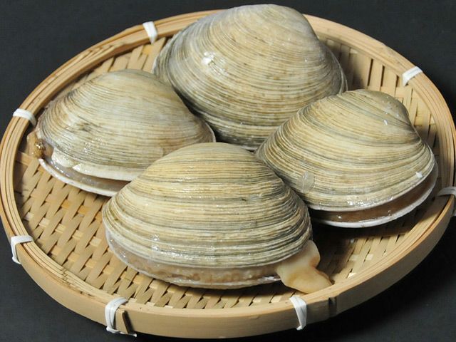 三河湾産大あさり【特大サイズ】3～5個/kg | 安心堂 食のSELECTネットショップ