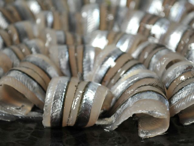 キビナゴ刺身用 酢味噌付き 40匹入り 約4人前 8パック 安心堂 食のselectネットショップ