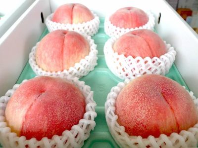 haku様　クール便　マンゴーピーチ　超特大川中島白桃　各2kg箱 川中島白桃2kg箱(もぎたて直送)：山形県産の白桃｜食べチョク