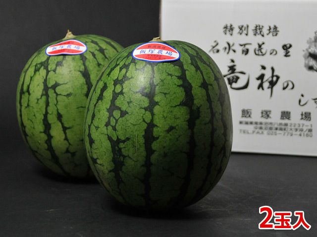 小玉スイカ　2玉入り 夏ギフト】小玉スイカ2玉入1箱：熊本県産のその他スイカ｜食べ