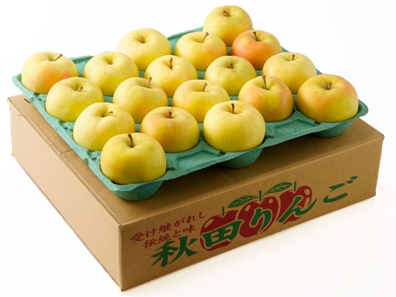 野田りんご園・増田りんご（トキ）10kg | 安心堂 食のSELECT