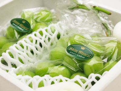 ぶどうの森・シャインマスカット（1.2kg）2房入り | 安心堂 食の