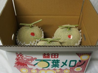 サンドリアメロン6玉入り 000000016259-01-l.jpg?t=