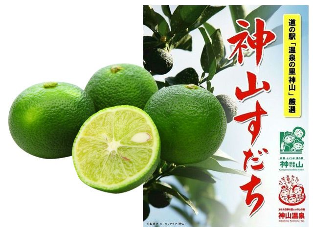 000000015273-01-l.jpg?t=