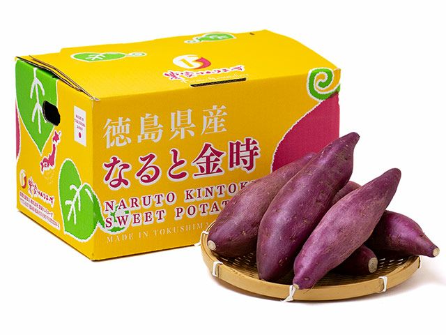 000000015286-01-l.jpg?t=