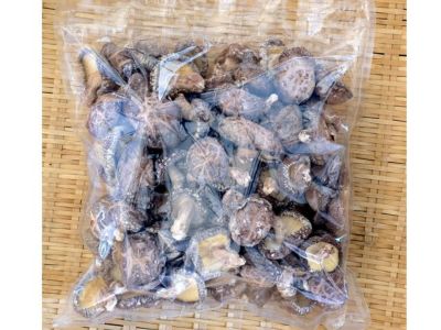 ゴッサン　京都 長岡京　白子たけのこ　朝堀り タケノコ　筍　4kg 京たけのこ専門店-筍農家