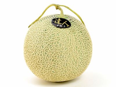 新品即決 優香メロン フルーツ - www.cactus-online.net