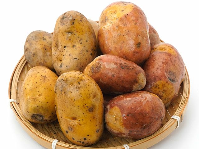 北海道・十勝産 インカのめざめ 種芋 (200個） 北海道・十勝産 インカ