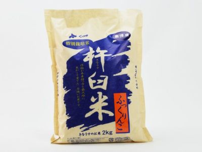 あすなろファーム・小田原曽我の無農薬 黄熟梅【十郎】 | 安心堂 食のSELECTネットショップ