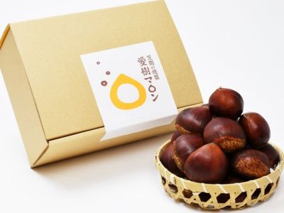 ポロタンぽろたん生栗♪大粒 2L～3L1．8K 栗 安心安全！生産出品