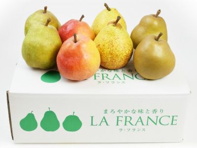 不忘果樹園・彩り洋梨セット8玉（3kg・4Lサイズ） | 安心堂 食の