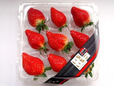 いちご侍様 リクエスト 9点 まとめ商品 いちご