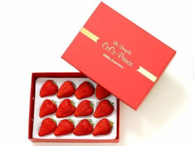 シックスベリーファーマーズ・松田さんのきらぴ香【大粒】12～15粒入り