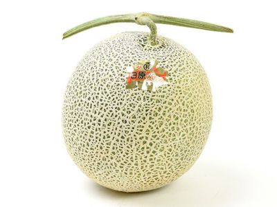 日原メロン園・北海道夕張産 完熟赤肉日原メロン【6玉入り
