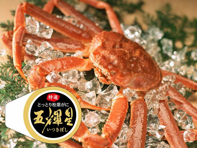 特選とっとり松葉がに五輝星（いつきぼし）1.2kg | 安心堂 食の