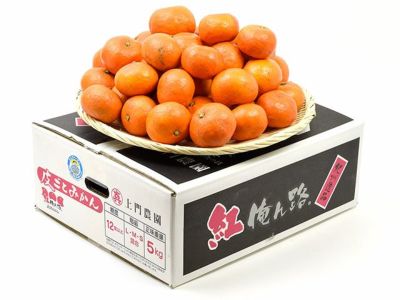 世界自然遺産 屋久島たんかん 樹上完熟 Mサイズ 約5キロ 無農薬栽培