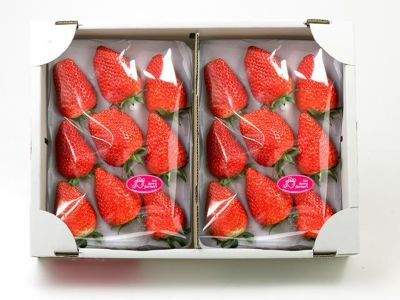 シックスベリーファーマーズ・松田さんのきらぴ香【特大粒】18粒入り