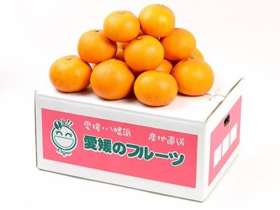 萩森農園・完熟せとか3kg（18-27個）【家庭用小玉】 | 安心堂 食の