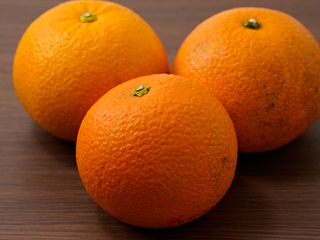5種類】柑橘食べ比べセット【しらぬひ（不知火）】【はるみ