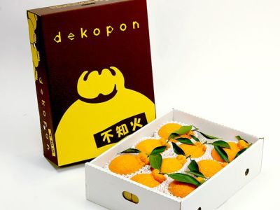 クール便発送】（ご家庭用）不知火(デコポンと同品種) 9kg 【4