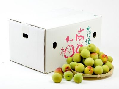 上門農園・紀州南高梅の青梅（10kg）梅干し用やわらかめ | 安心