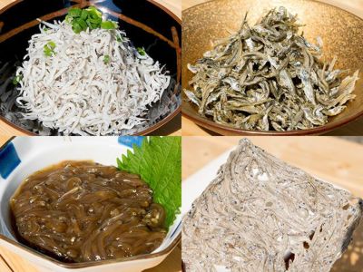 三浦水産 極冷 生しらす1kg 0g 5p 安心堂 三浦水産 極冷 生しらす1kg 0g 5p 安心堂