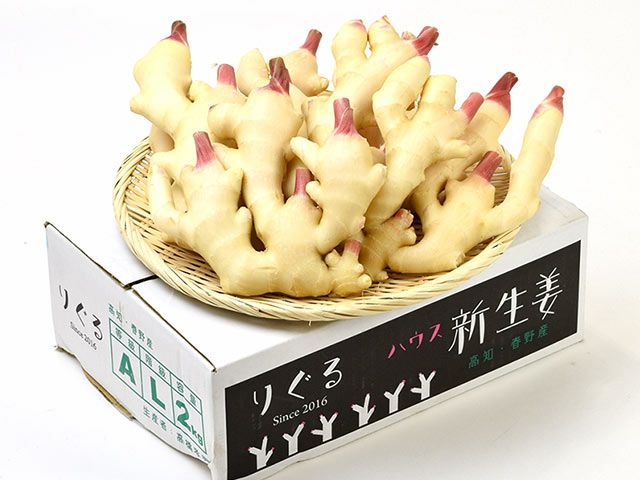 りぐる・ハウス新生姜（2kg） | 安心堂 食のSELECTネットショップ