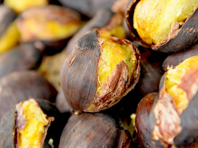 pan_cham様専用（9/12）】栗 茨城県産 朝収穫 厳選 5kg 笠間の栗