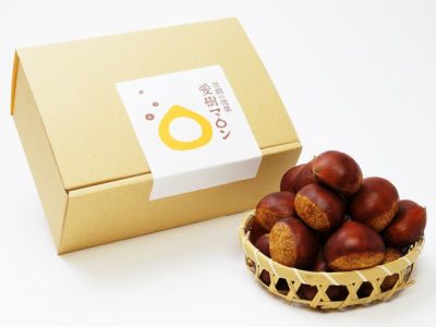 A makaday様　生栗　2キロ 2025シーズン到来】農家こだわりの「濃厚栗」大きめ2Lサイズ以上