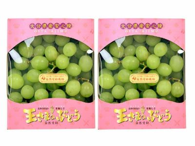 上原果樹園・幻のぶどうオリンピア1kg(4～5房)【家庭用】 | 安心堂 食のSELECTネットショップ