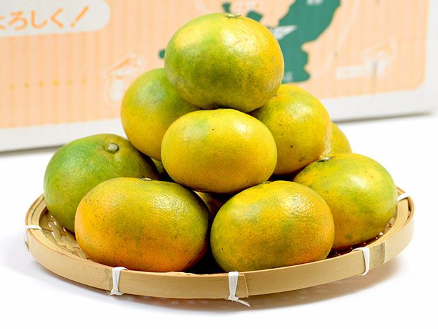 広島県・佐々木さんの極早生みかん5kg | 安心堂 食のSELECTネットショップ