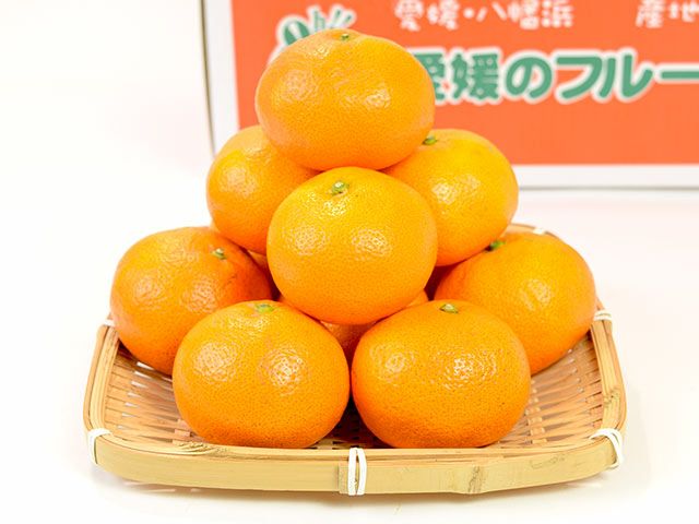 みかん 萩森農園・温州みかん5kg(40～100個) | 安心堂 食のSELECTネット
