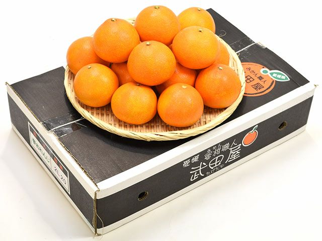 みかん職人武田屋・夢オレンジ（5kg） | 安心堂 食のSELECTネットショップ