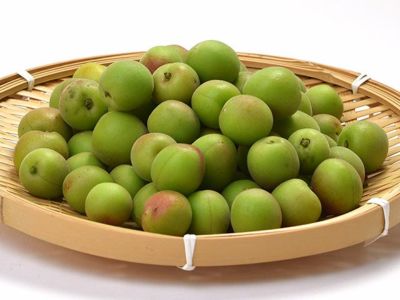 富田農園・仏手柑(小) | 安心堂 食のSELECTネットショップ 富田農園・仏手柑(小) | 安心堂 食のSELECTネットショップ