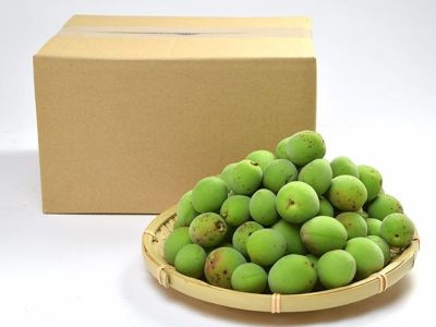 はるな山麓農cafe・自然栽培青梅3kg【甲州小梅】 | 安心堂 食の