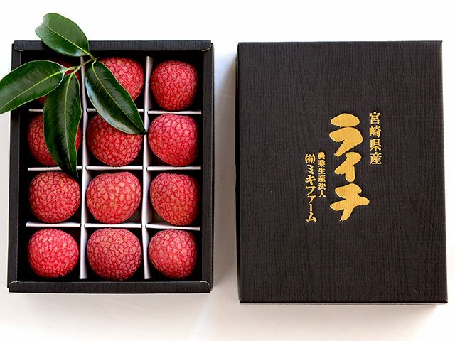 ②宮崎ライチ 大玉 半耐寒性 手こずっ