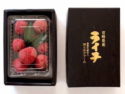 萩森農園・完熟せとか2.5kg(10～16個)【家庭用】 | 安心堂 食の