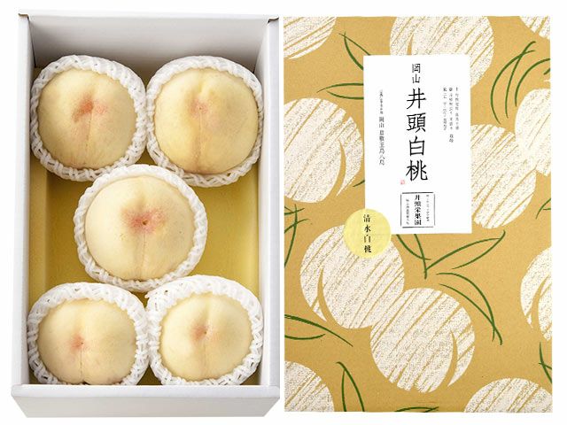 岡山県産　白桃　加納岩　進物用 2025年 先行予約 】 桃 岡山県産 加納岩 白桃 約1.5kg (5～7玉