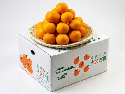 八木下農園・西之香【家庭用】5kg | 安心堂 食のSELECTネットショップ