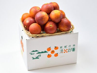 清五郎農園・ブラッドオレンジ・モロ【家庭用】10kg（S～Lミックス