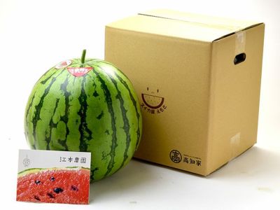 笹原農園・尾花沢パイナップルスイカ L（約6kg） | 安心堂 食のSELECT ...