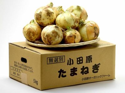 株式会社玉ジロー » TJ3600型